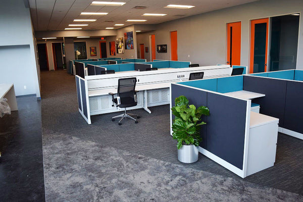 Software Company